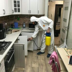 شركة ابادة الحشرات فى عباس العقاد