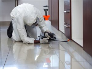 شركة مبيدات حشرية في شيراتون