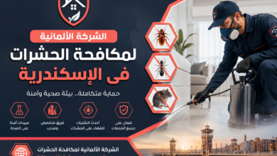 الشركة الالمانية لمكافحة الحشرات فى الإسكندرية 11 الشركة الالمانية لمكافحة الحشرات فى الإسكندرية