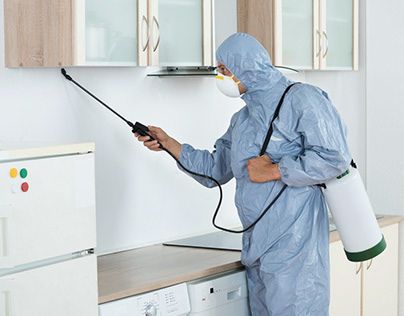 ابادة الحشرات المنزلية فى العباسيه 