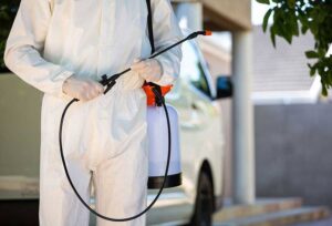 الشركة الالمانية لابادة الحشرات فى مطروح