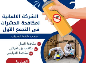 الشركة الالمانية لمكافحة الحشرات فى التجمع الأول