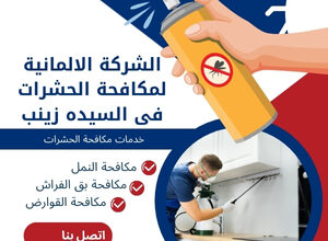 الشركة الالمانية لمكافحة الحشرات فى السيده زينب