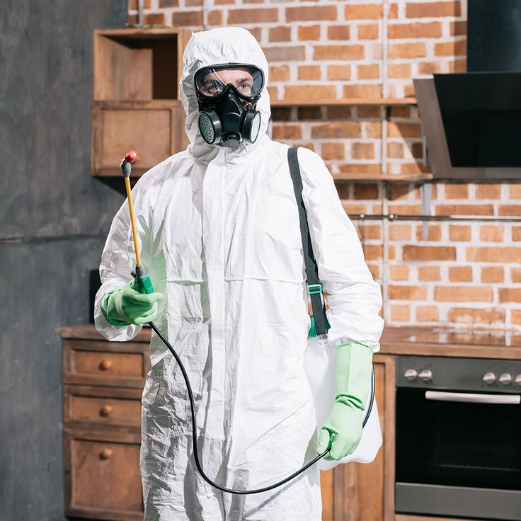 الشركة الالمانية لمكافحة الحشرات فى العباسيه...