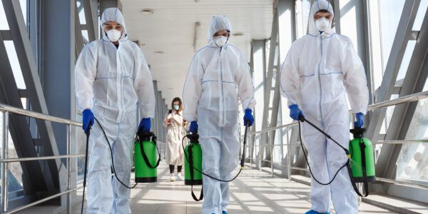 الشركة الالمانية لمكافحة الحشرات فى المنيل