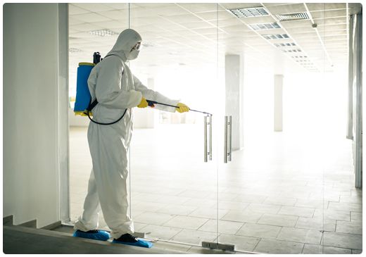 الشركة الالمانية لمكافحة الحشرات فى رمسيس