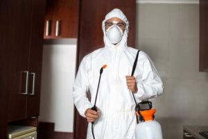الشركة الالمانية لمكافحة الحشرات فى شمال سيناء