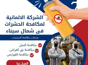 الشركة الالمانية لمكافحة الحشرات فى شمال سيناء