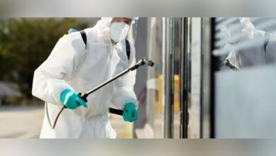 الشركة الالمانيه لمكافحة الحشرات جسر السويس