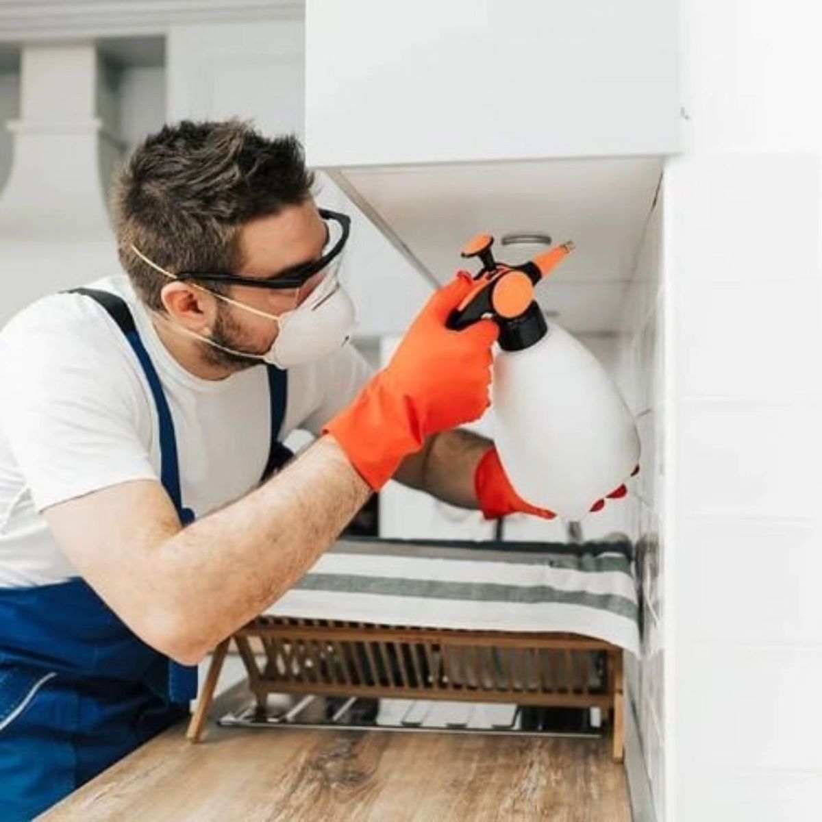 شركات مكافحة الحشرات فى المنيل