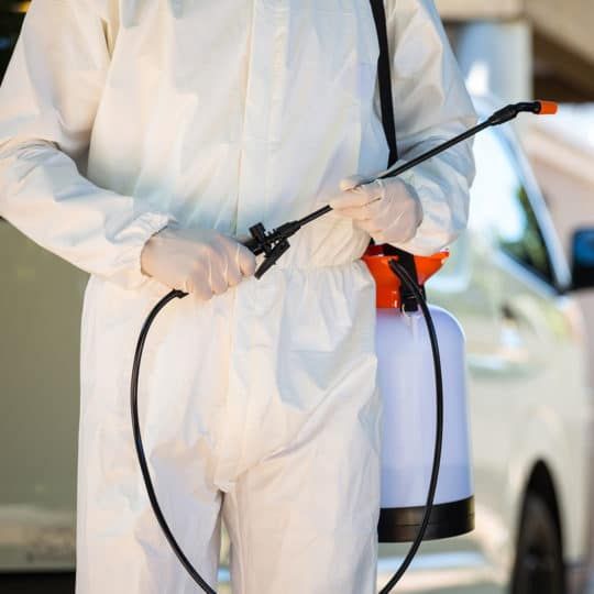 شركة رش حشرات فى العباسيه