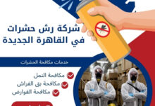 شركة رش حشرات في القاهرة الجديدة