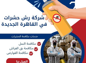 شركة رش حشرات في القاهرة الجديدة