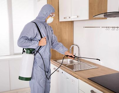 شركة رش مبيدات فى العباسيه 