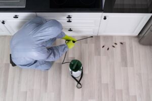 شركة رش مبيدات فى الغربية
