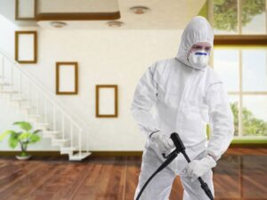 شركة رش مبيدات فى مطروح