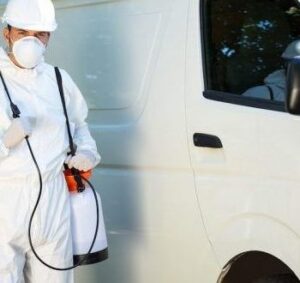 شركة لرش المنازل من الحشرات فى مطروح