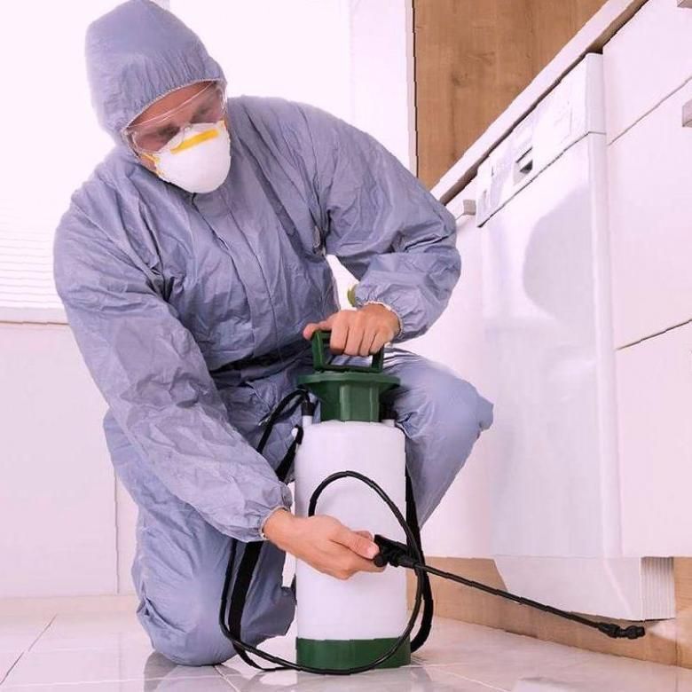 شركة مبيد حشرات فى العباسيه 