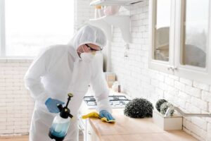 علاج حشرة البق