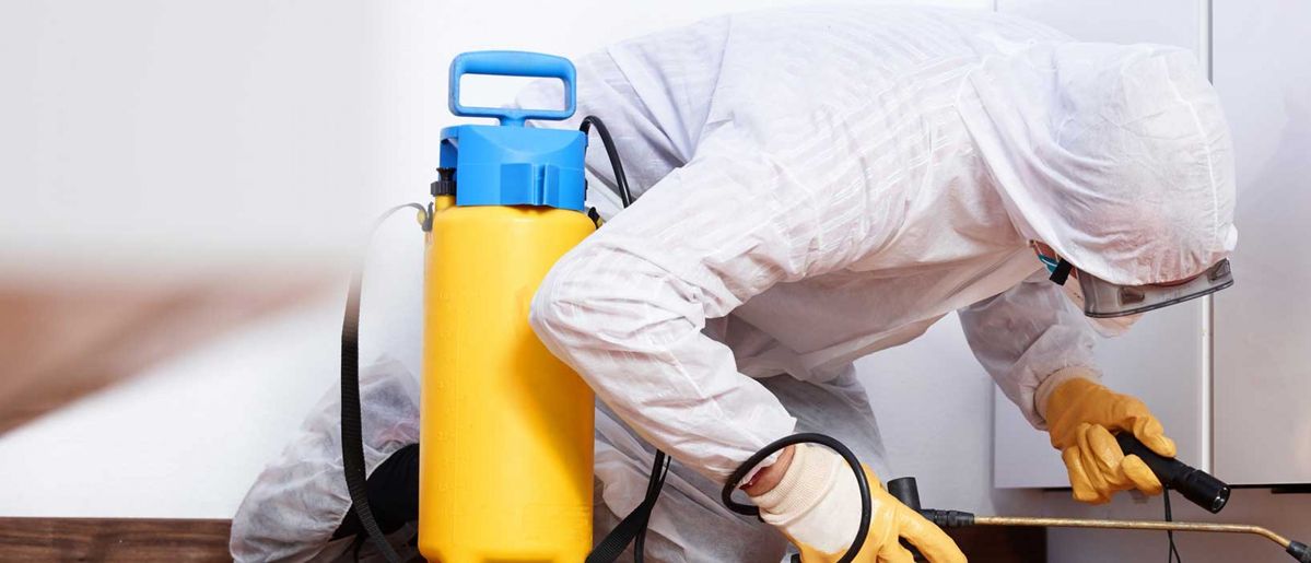 مبيدات حشرية منزلية فى العباسيه 