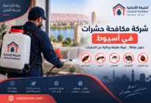 شركة مكافحة حشرات في أسيوط