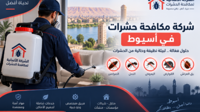 شركة مكافحة حشرات في أسيوط