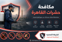 مكافحة حشرات القاهرة
