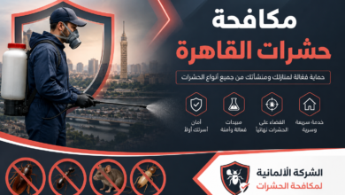 مكافحة حشرات القاهرة