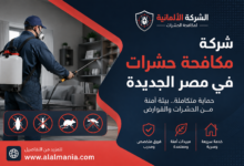 شركة مكافحة حشرات في مصر الجديدة