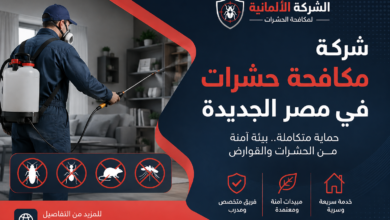 شركة مكافحة حشرات في مصر الجديدة