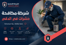 شركة مكافحة حشرات في الدقي