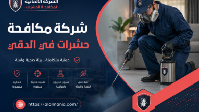 شركة مكافحة حشرات في الدقي