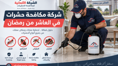 شركة مكافحة حشرات في العاشر من رمضان