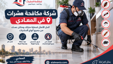 شركة مكافحة حشرات في المعادي