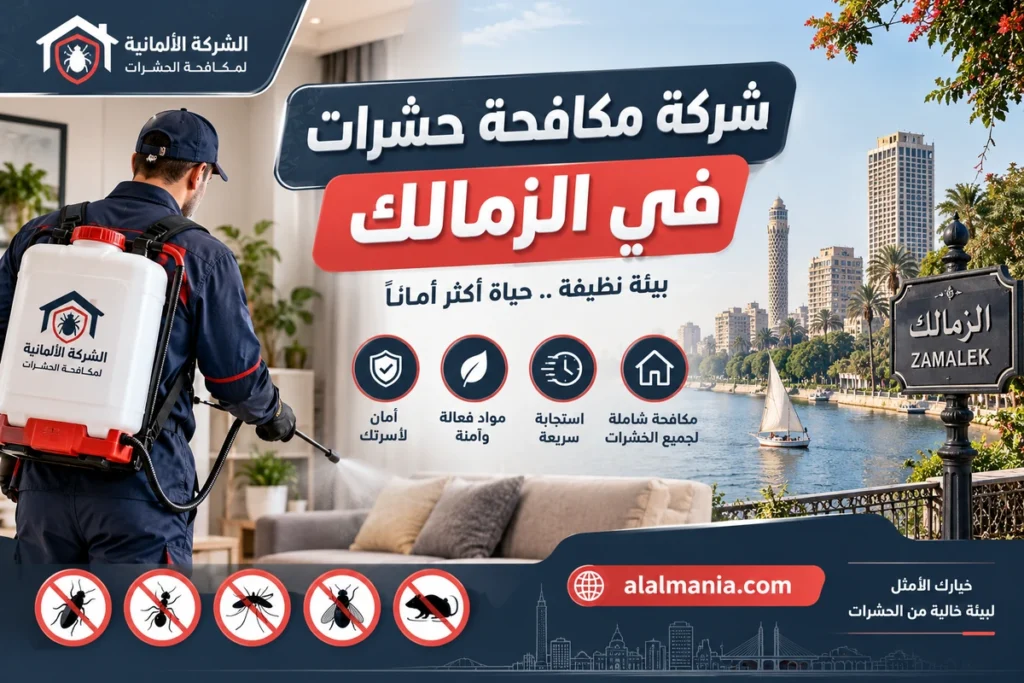 شركة مكافحة حشرات في الزمالك