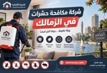 شركة مكافحة حشرات في الزمالك