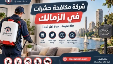 شركة مكافحة حشرات في الزمالك