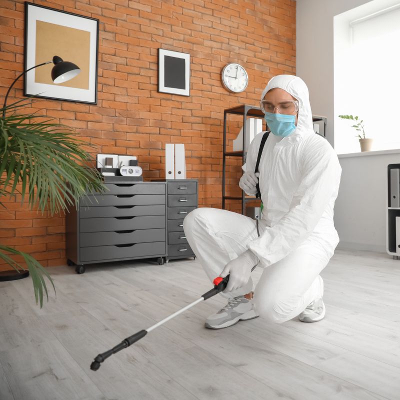 أفضل شركات مكافحة الحشرات فى جمعية عرابى