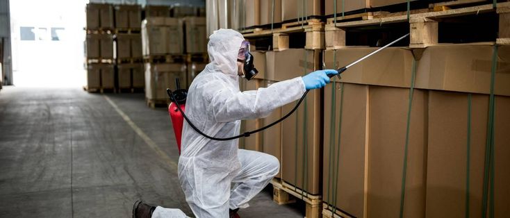 أفضل شركة ابادة حشرات فى المقطم