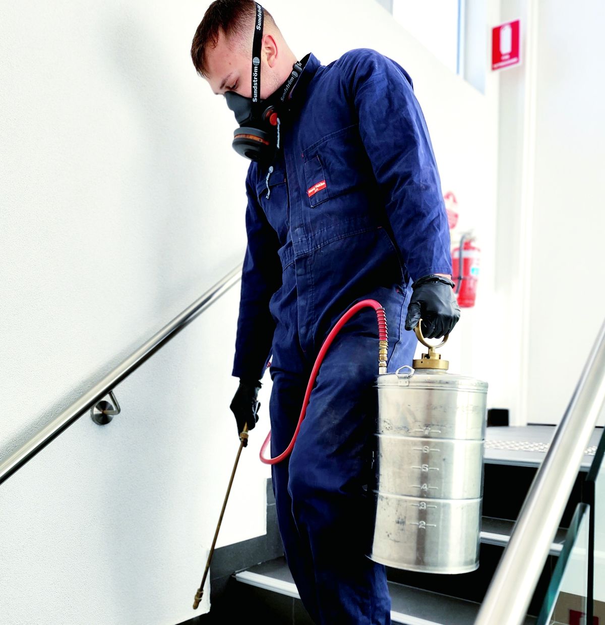 ابادة الحشرات المنزلية