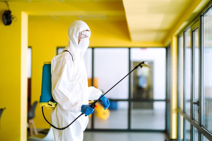 ابادة الحشرات في المعادي