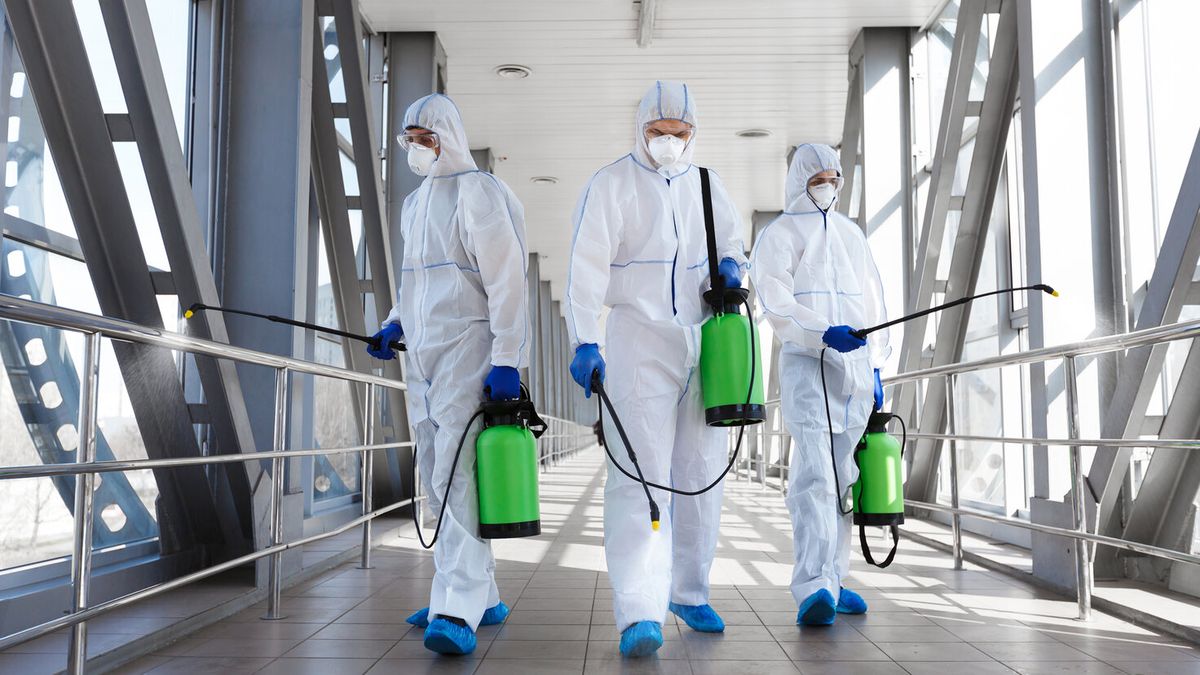 ابادة حشرات فى السويس