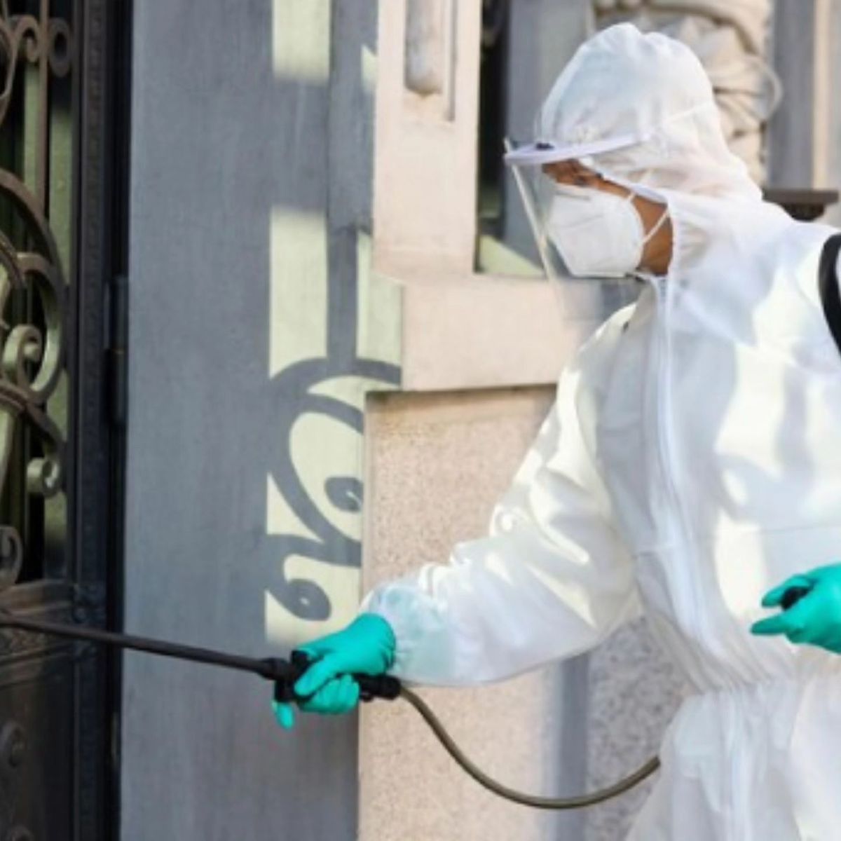 افضل شركة مكافحة حشرات في العاشر من رمضان