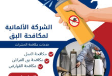 شركة مكافحة حشرات في الأقصر