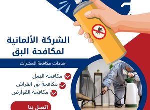 شركة مكافحة حشرات في الأقصر