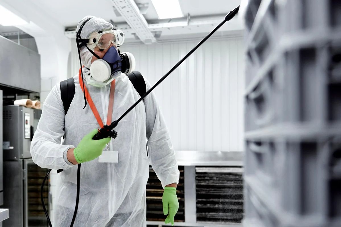 الشركة الالمانية لابادة الحشرات