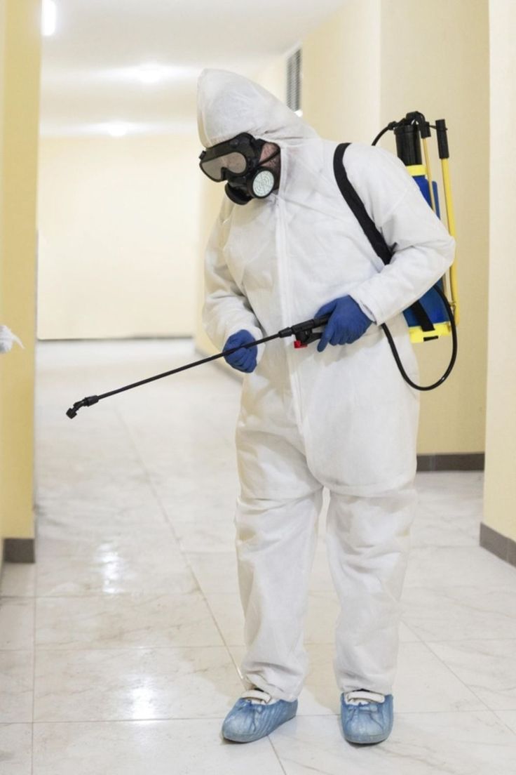 الشركة الالمانية لمكافحة الحشرات فى العاصمه الإدارية 2 الشركة الالمانية لمكافحة الحشرات فى العاصمه الإدارية