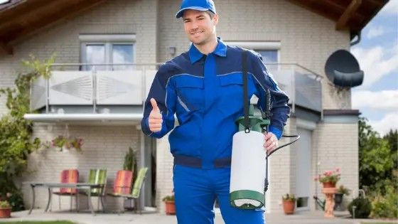 الشركة الالمانية لمكافحة الحشرات في الخليفة