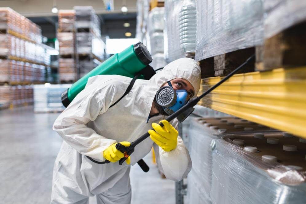 رش مبيد حشرات فى التجمع التالت