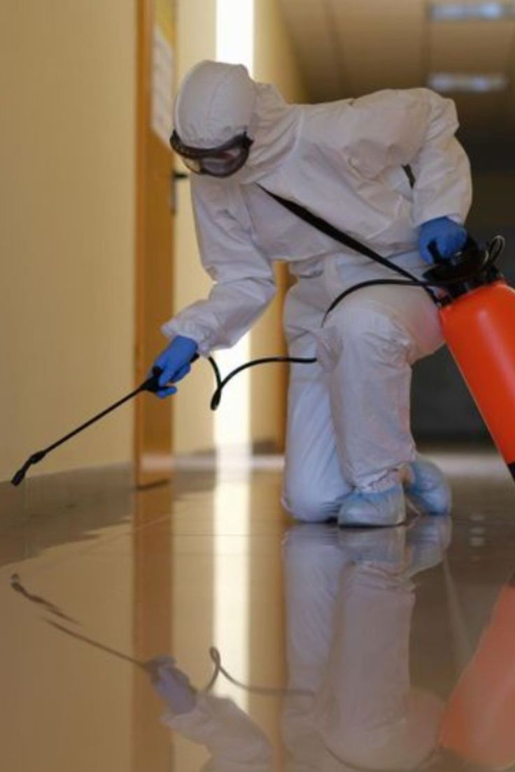 رش مبيد حشرات فى القطاميه هايتس